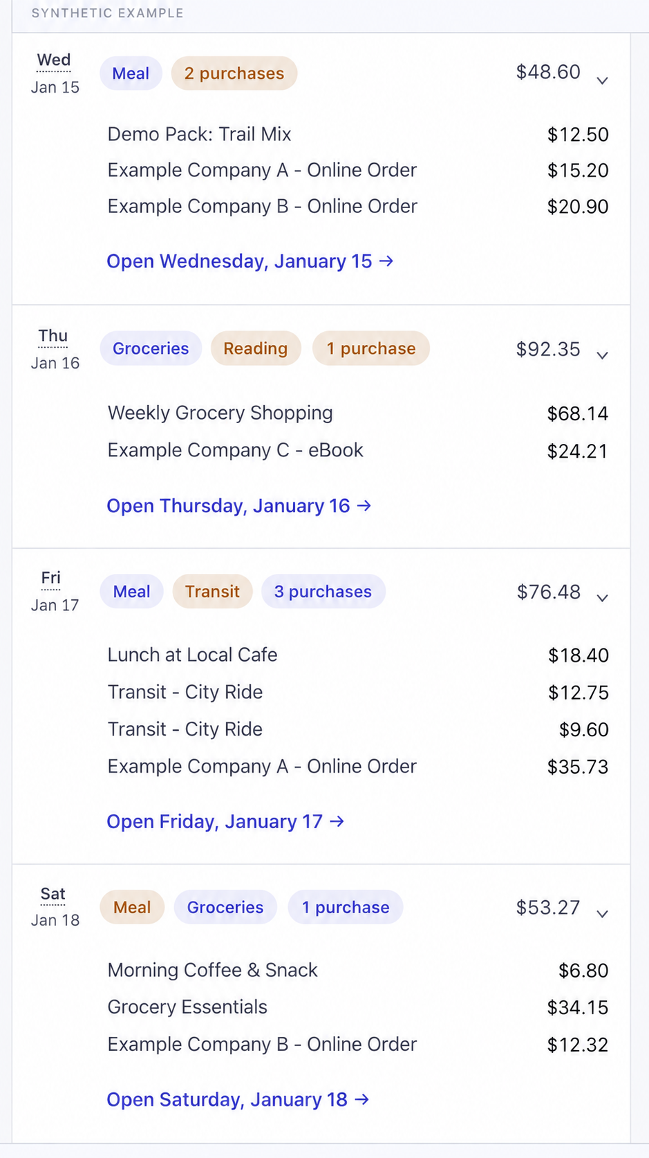 Synthetic daily activity and spending illustration with fictional meals, purchases, and transit.